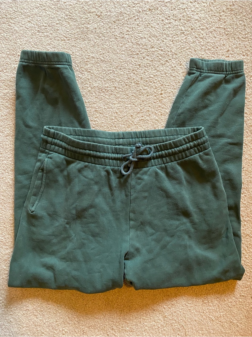 Aritzia Sweatfleece Jogger